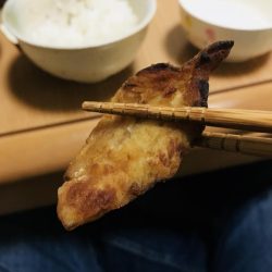 朝マヅメリベンジ